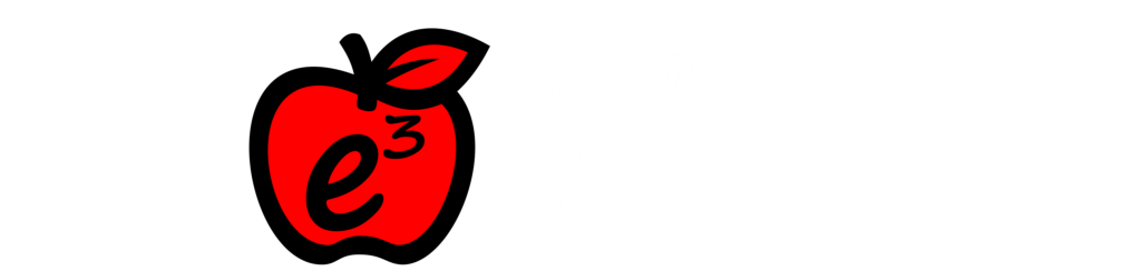 Engineer At Home